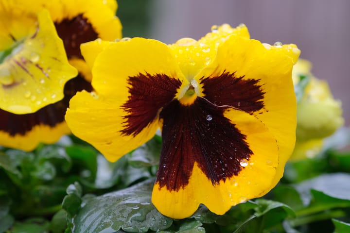 Photo 23 of Keeriet 23