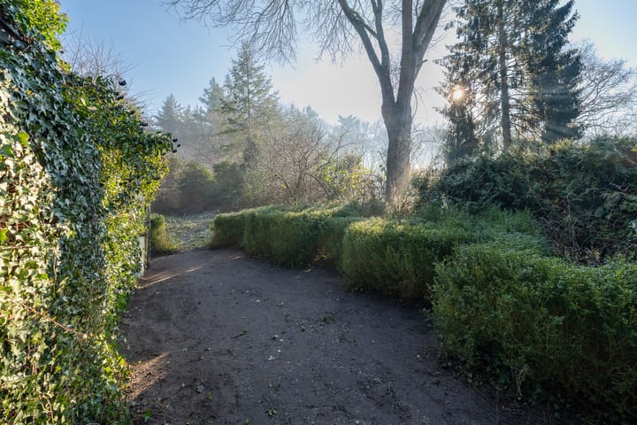 Foto 40 van Hoolweg 10