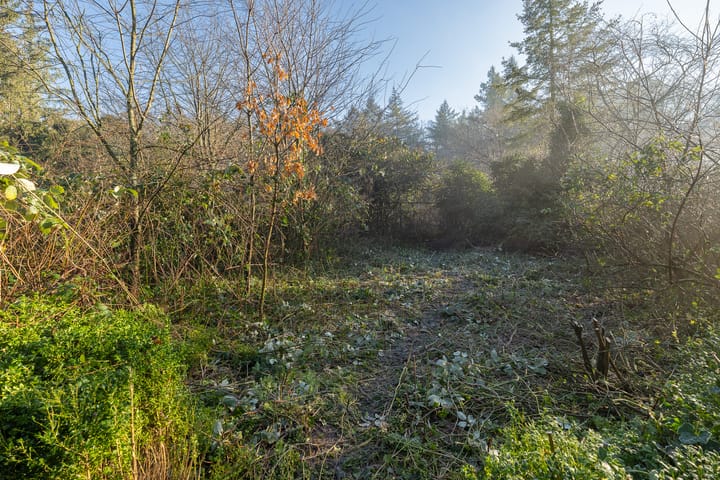 Foto 44 van Hoolweg 10