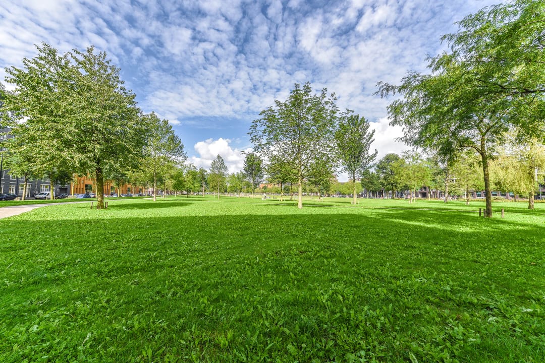 Foto 23 van Emmy Andriessestraat 405