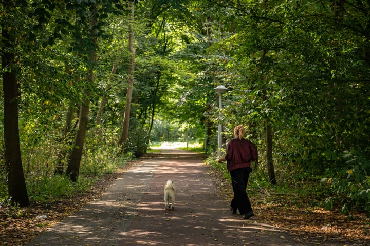 Foto 36 van Marowijnestraat 14-3