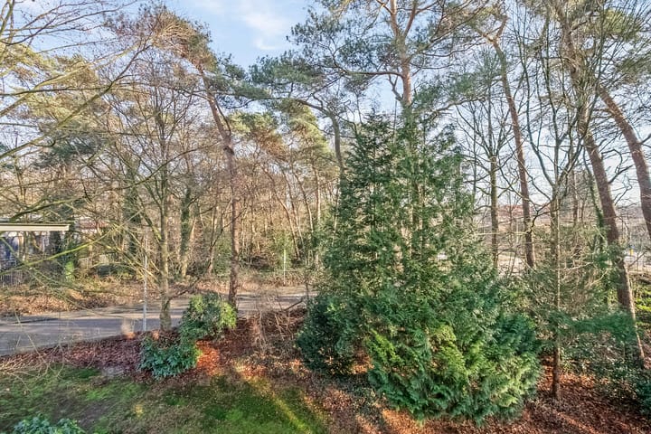 Foto 24 van van Heutszlaan 136-1