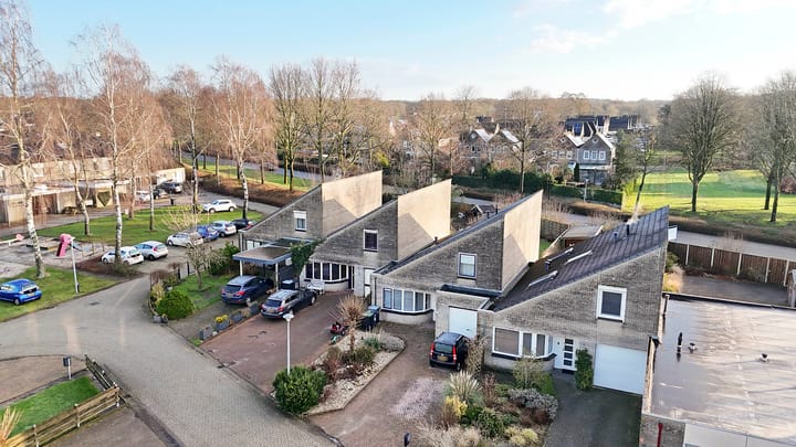 Foto 1 van Oeverzwaluw 19