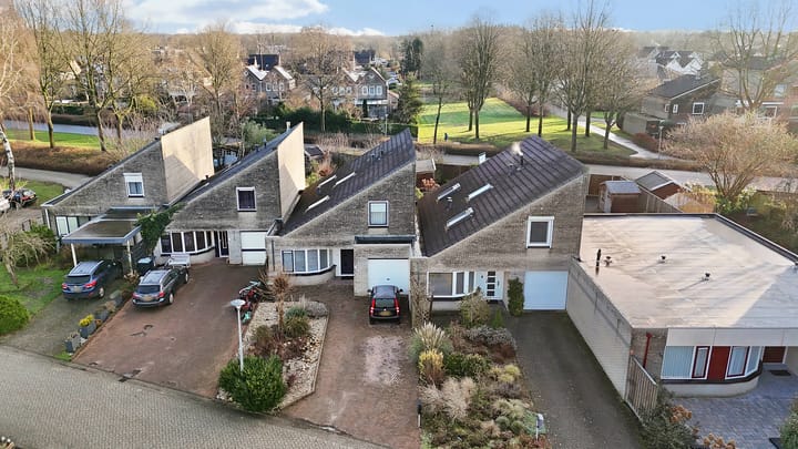 Foto 2 van Oeverzwaluw 19