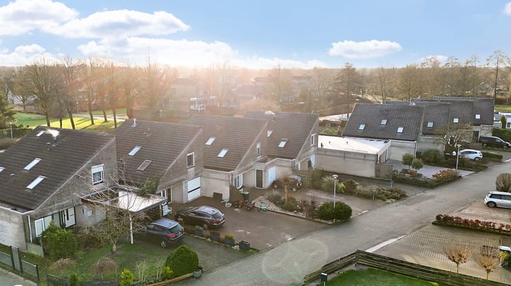 Foto 3 van Oeverzwaluw 19