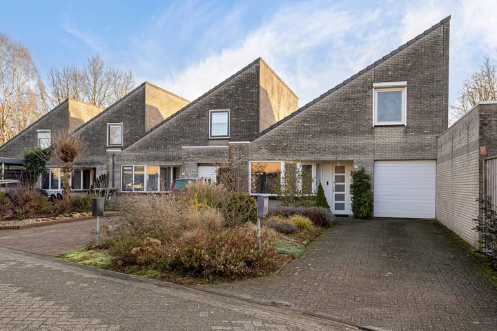 Foto 5 van Oeverzwaluw 19