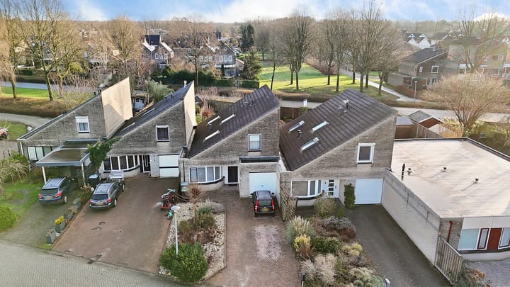 Foto 4 van Oeverzwaluw 19