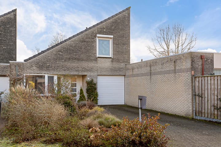 Foto 6 van Oeverzwaluw 19