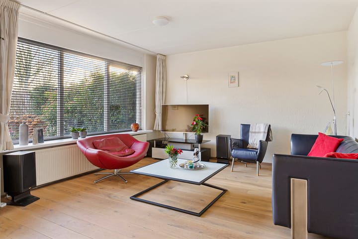 Foto 8 van Oeverzwaluw 19