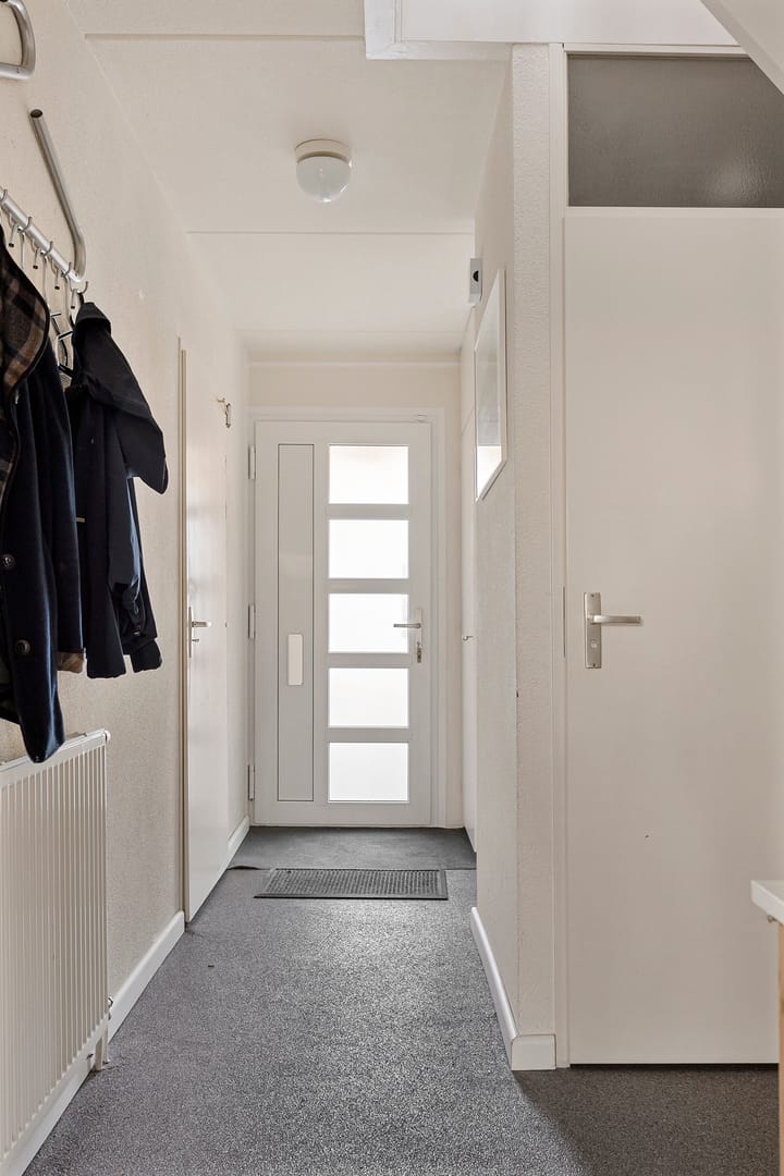 Foto 17 van Oeverzwaluw 19