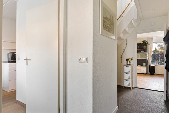 Foto 18 van Oeverzwaluw 19