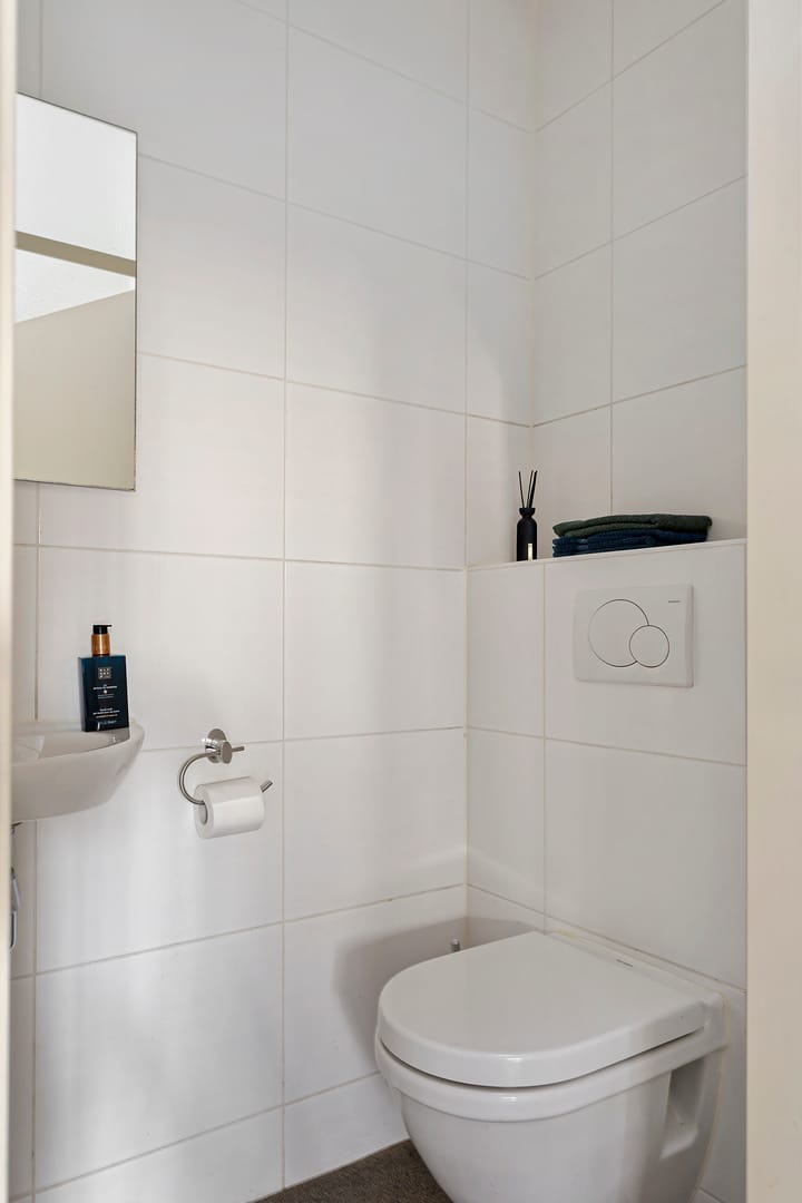 Foto 19 van Oeverzwaluw 19