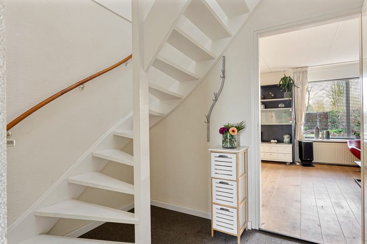 Foto 20 van Oeverzwaluw 19