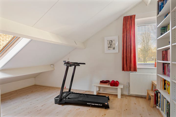 Foto 25 van Oeverzwaluw 19