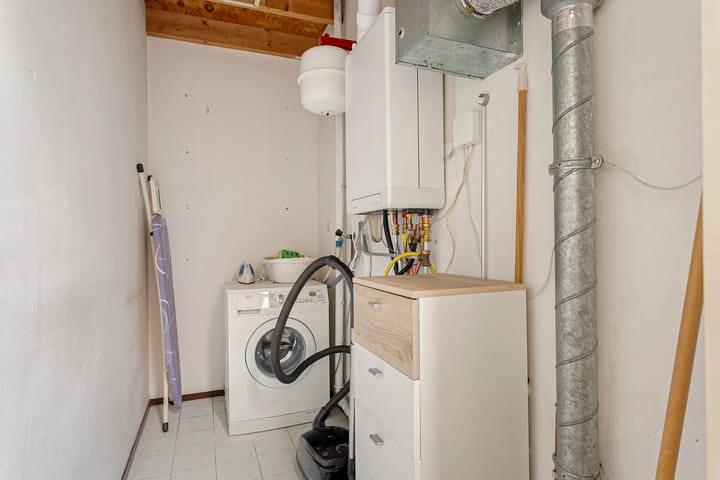 Foto 28 van Oeverzwaluw 19