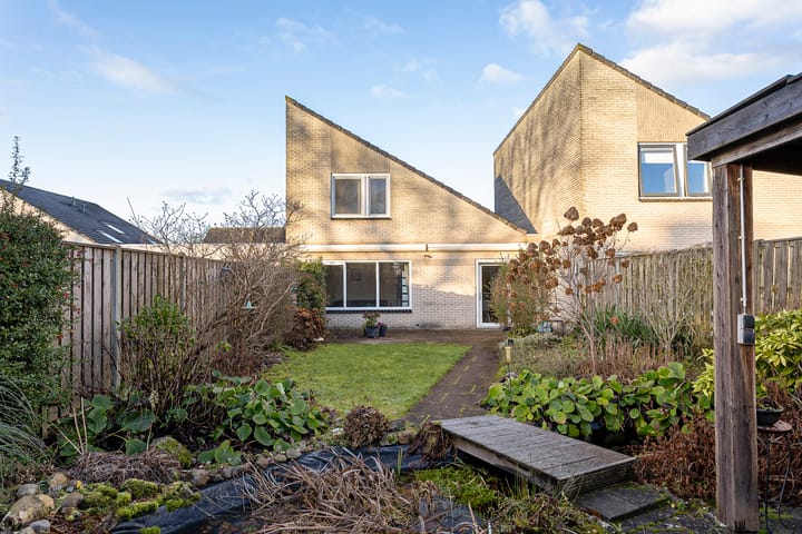 Foto 30 van Oeverzwaluw 19