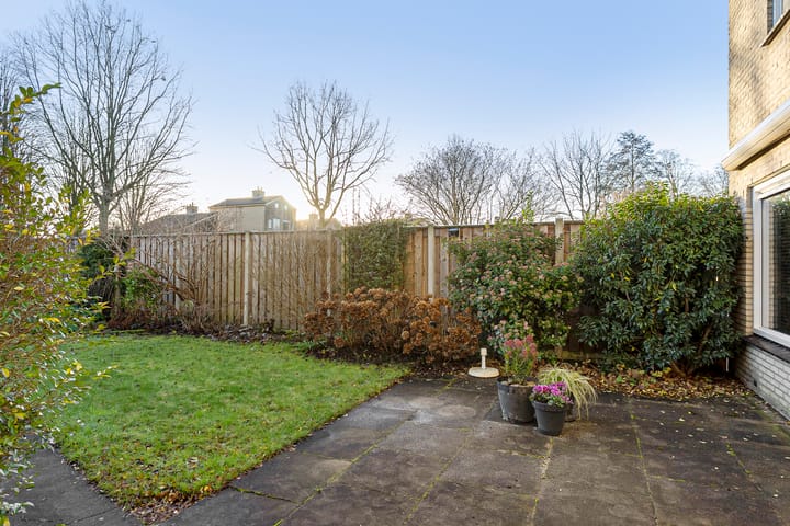 Foto 31 van Oeverzwaluw 19