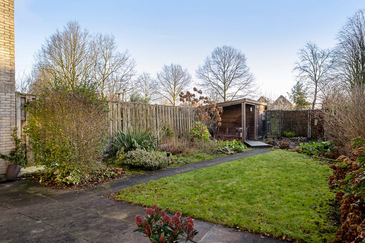 Foto 32 van Oeverzwaluw 19