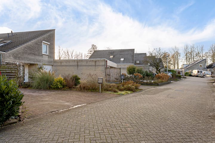 Foto 36 van Oeverzwaluw 19