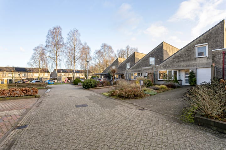 Foto 37 van Oeverzwaluw 19