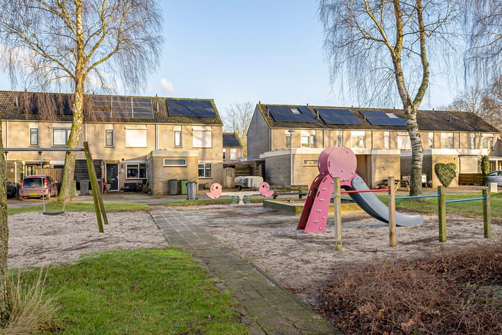 Foto 38 van Oeverzwaluw 19