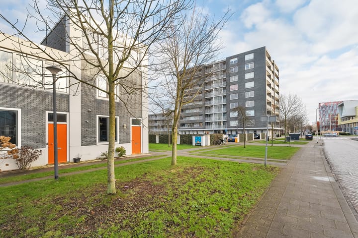 Foto 7 van Obrechtstraat 169