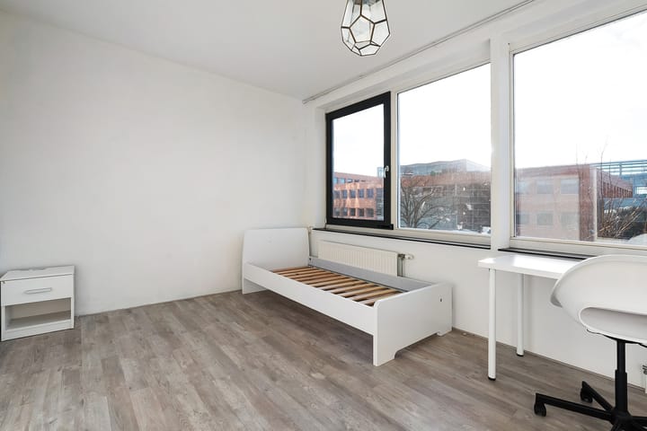 Foto 31 van Obrechtstraat 169