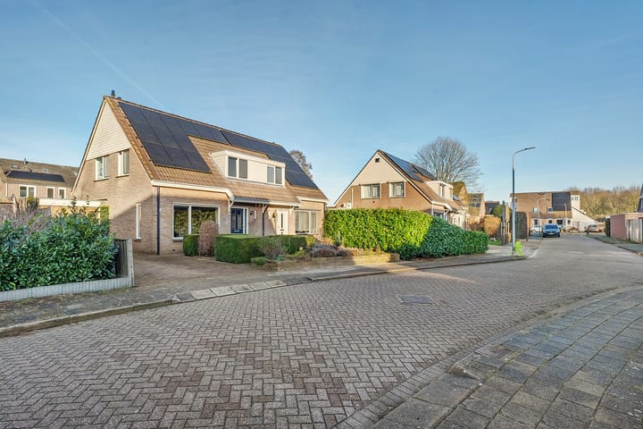 Foto 2 van De Pimpernel 7