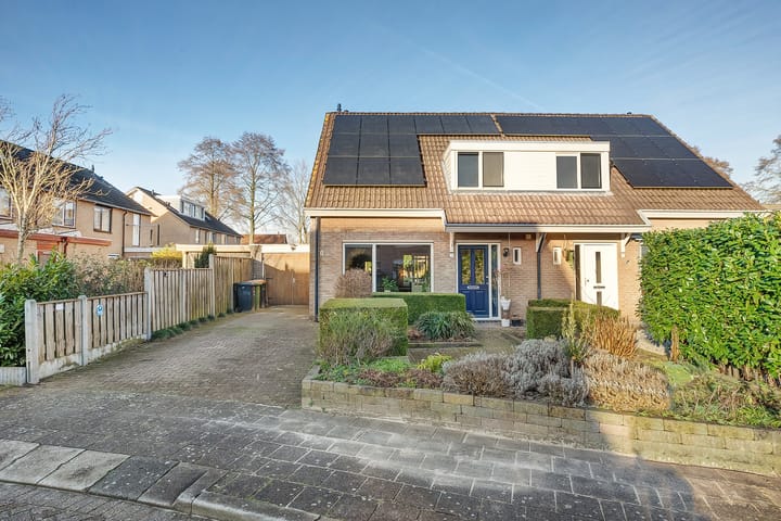 Foto 3 van De Pimpernel 7