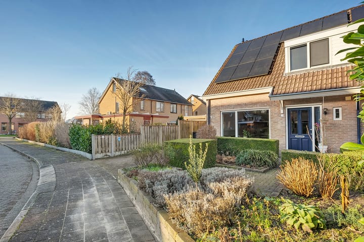 Foto 4 van De Pimpernel 7