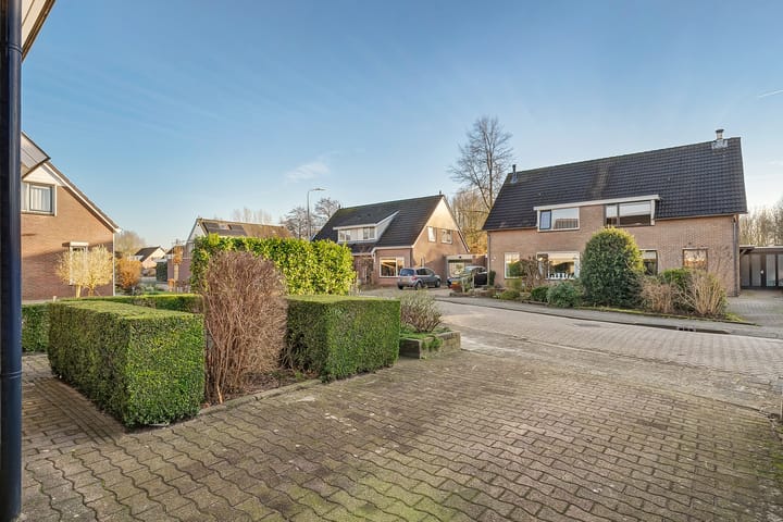 Foto 5 van De Pimpernel 7