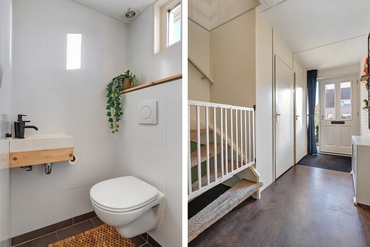 Foto 7 van De Pimpernel 7