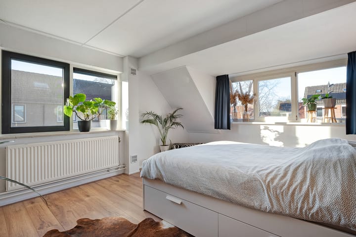 Foto 25 van De Pimpernel 7