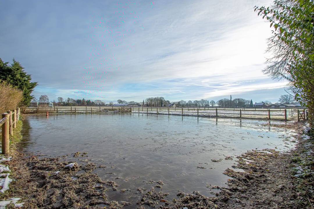 Foto 11 van Kleinhei 2