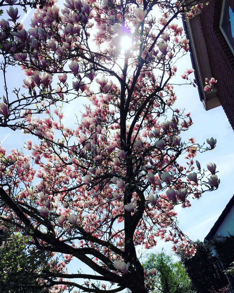 Foto 39 van Aijenseweg 34