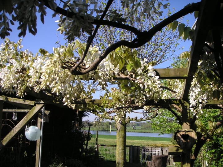 Foto 40 van Aijenseweg 34