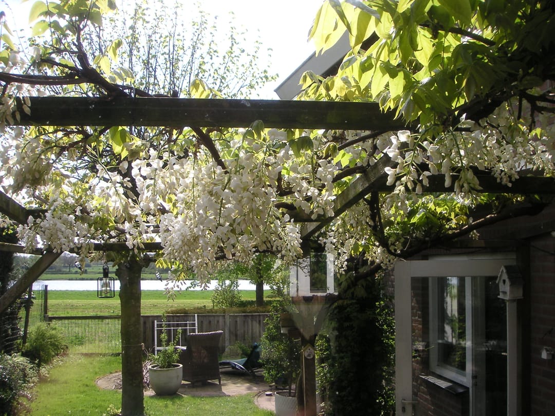 Foto 41 van Aijenseweg 34