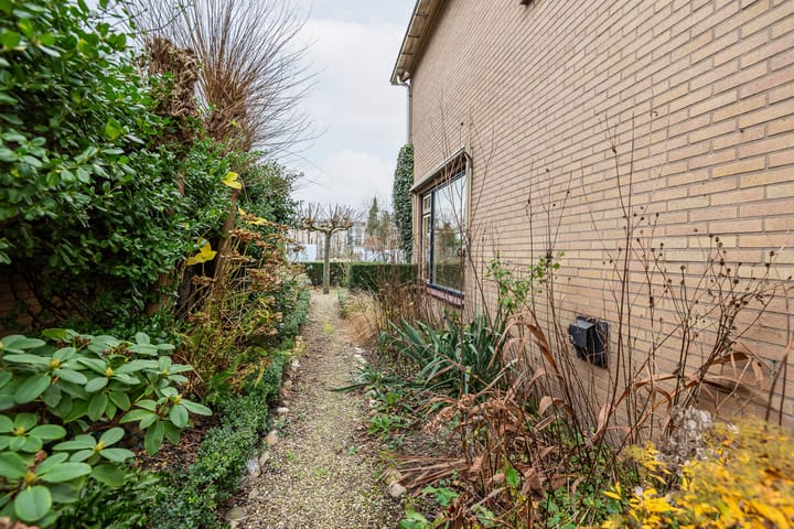 Foto 51 van De Tol 4