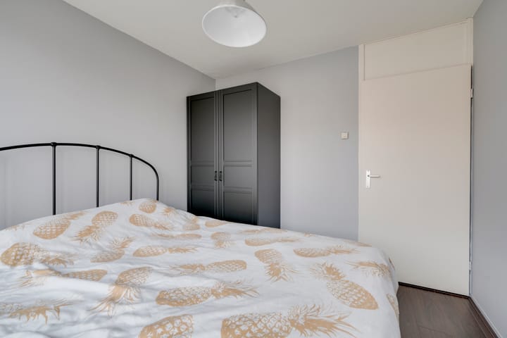 Foto 28 van Ananasstraat 17