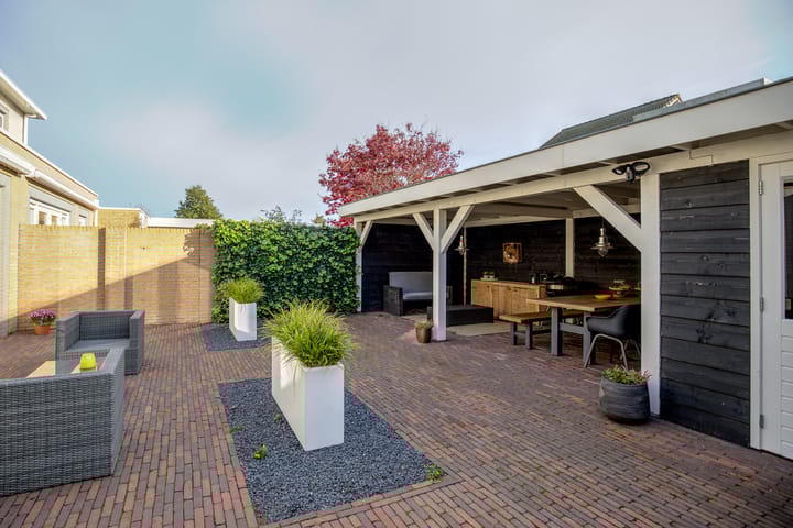 Foto 48 van Vogelwikke 42