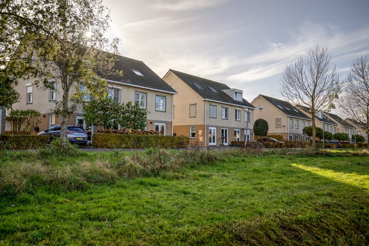 Foto 57 van Vogelwikke 42