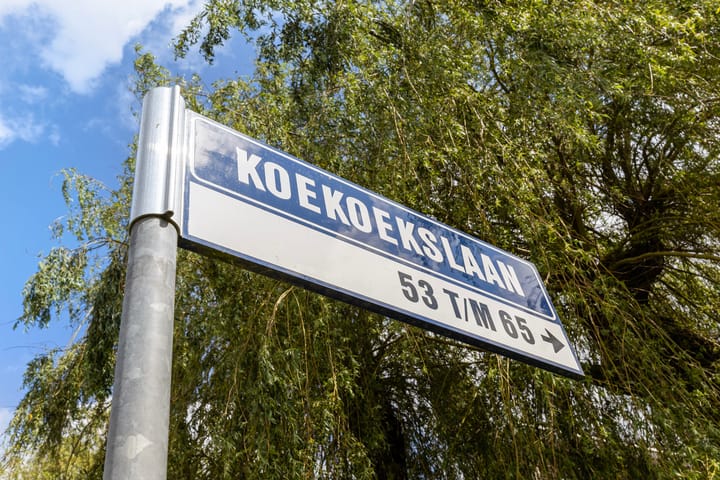 Foto 40 van Koekoekslaan 57