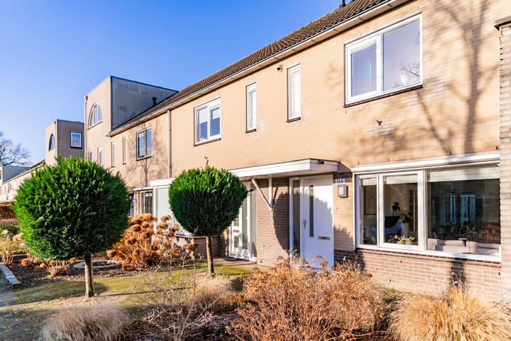 Foto 5 van Anna Bijnsring 166