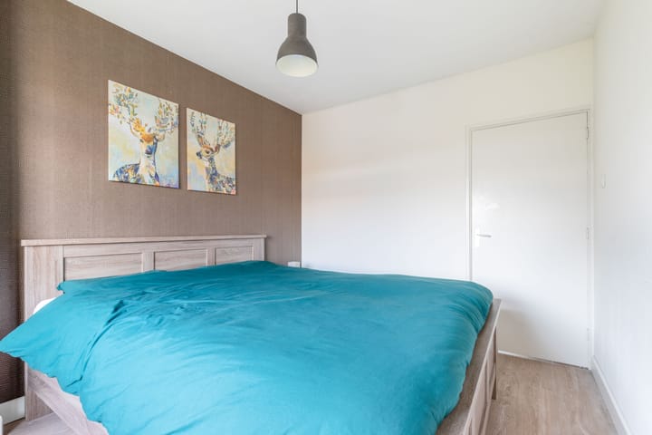 Foto 18 van Carel van Manderstraat 50