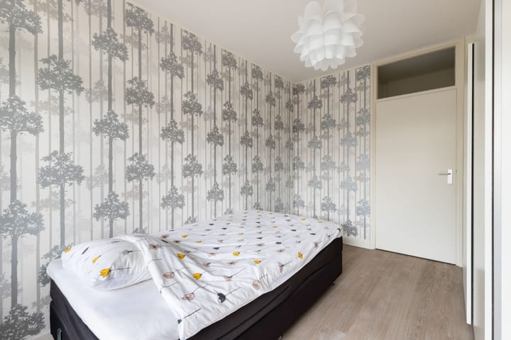 Foto 20 van Carel van Manderstraat 50