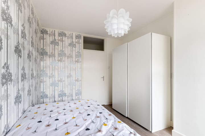 Foto 21 van Carel van Manderstraat 50