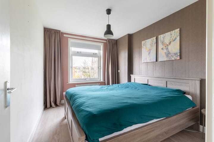 Foto 17 van Carel van Manderstraat 50