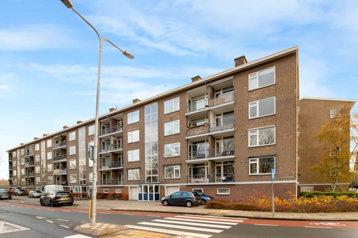 Foto 30 van Carel van Manderstraat 50