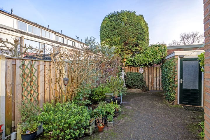 Foto 12 van Menno ter Braakstraat 1