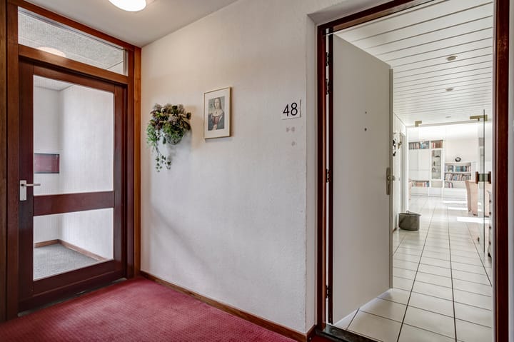 Foto 11 van Reviuslaan 48